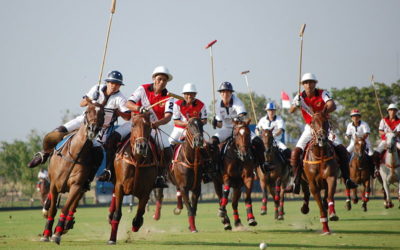Rajasthan Polo Club