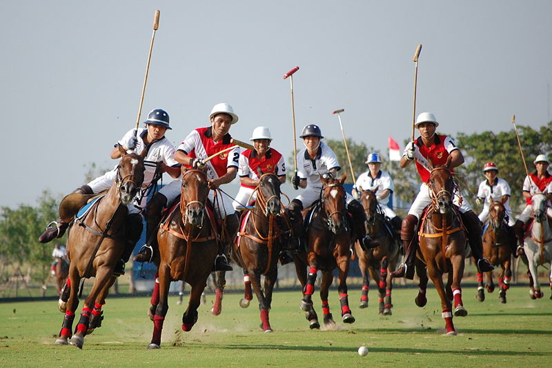 Rajasthan Polo Club